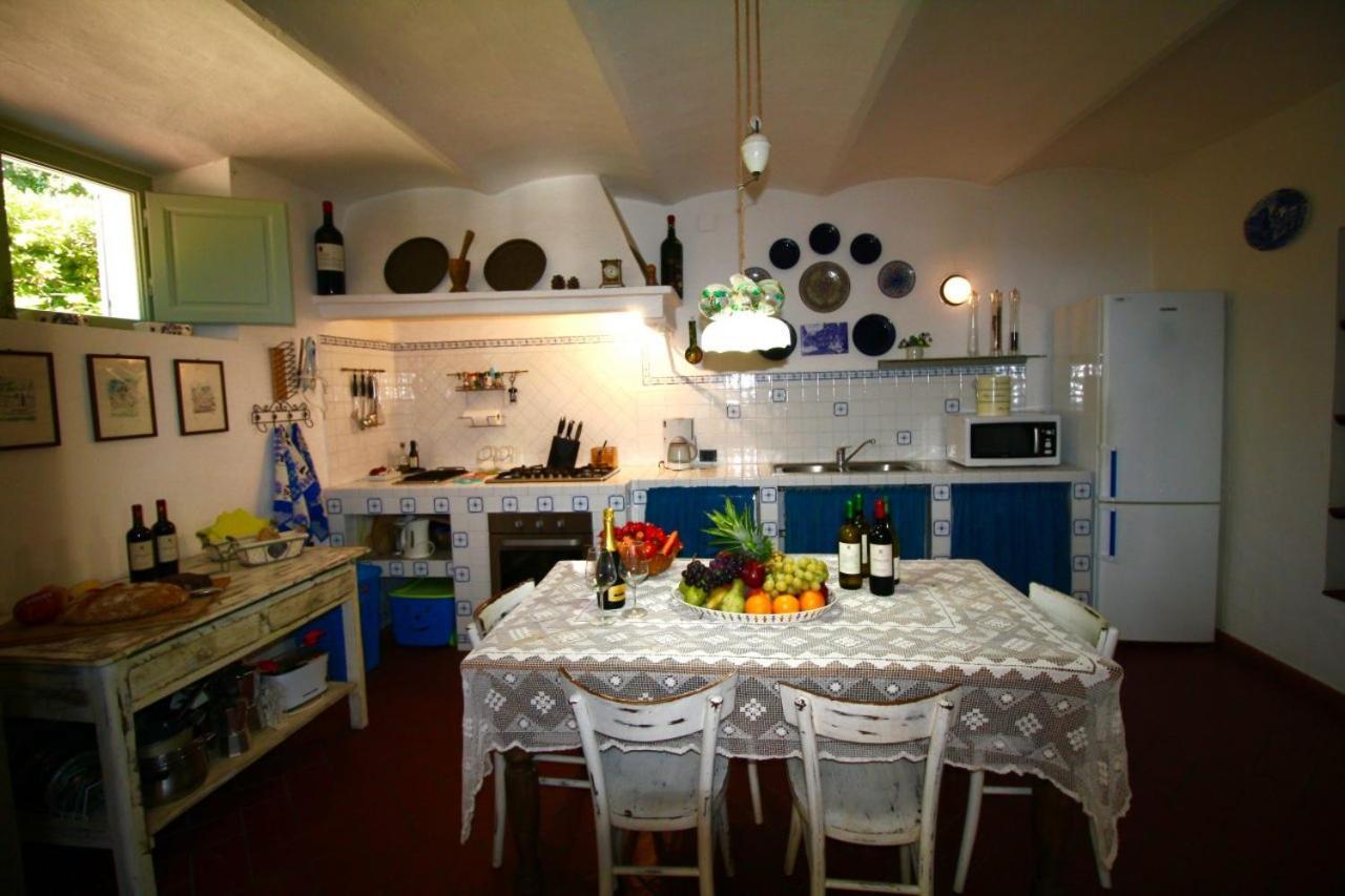 Villa Paradiso Castiglioncello Kültér fotó